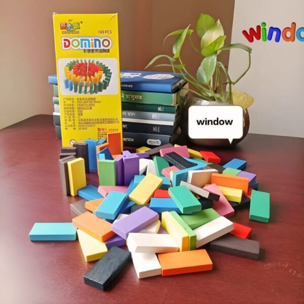 100 Pieces Wooden Domino