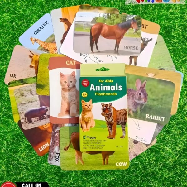 Animals Flash Cards