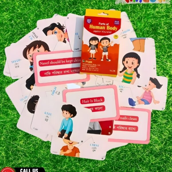 Parts of Human Body Flash Cards