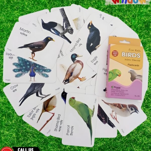 Birds Flash Cards