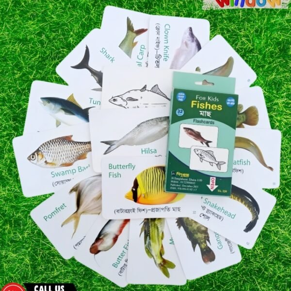 Fish Flash Cards