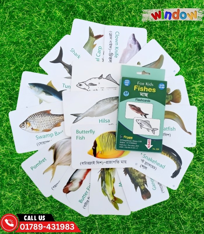 Fish Flash Cards